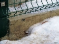 image013.jpg