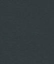 Antracito pilka (Anthracite grey)