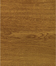 Auksinis ąžuolas (Golden oak)