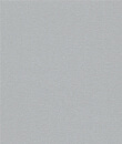 Sidabro matinė (Metbrush silver)