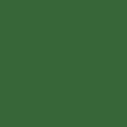 Žalia 6002 (Leaf green)