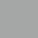Sidabrinė 9006 (White aluminium)